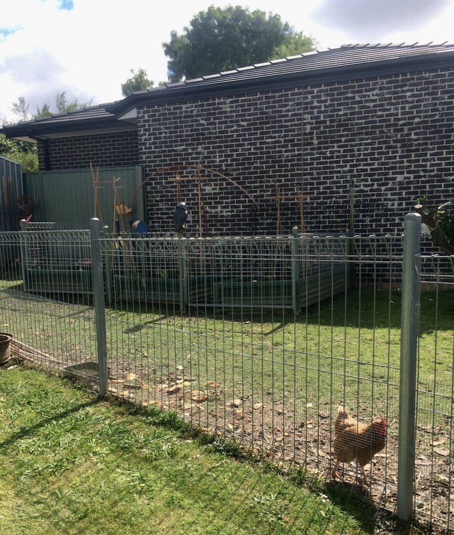 Arc shop wire fencing